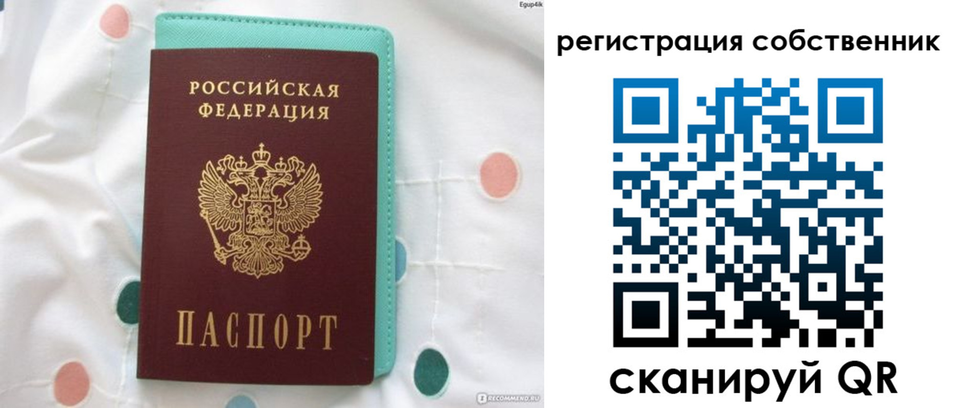 прописка для школы в Новошахтинске